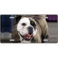 Power House Bulldog Dog Pet Novelty License Plates- Full Color Photography License Plates PO125655
